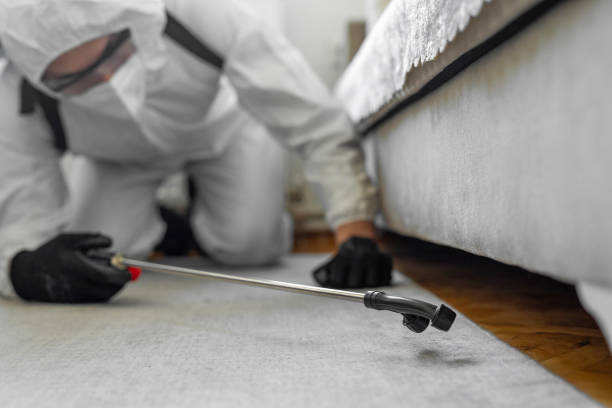 Professional Ant Control technician working in Kingston Estates, NJ