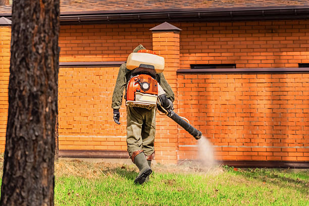 Trusted Cockroach Control service in Kingston Estates, NJ - Nex Pest Control